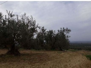 11351-0001 8