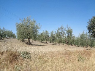 11351-0001 13