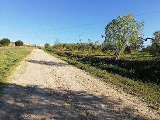 11351-0001 16