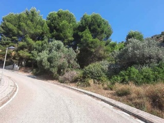 Suelo urbano en Jalón - Alicante - 14