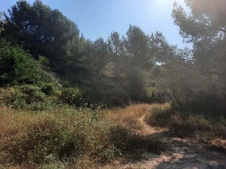 Suelo urbano en Jalón - Alicante - 15