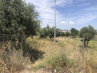 Suelo urbanizable en PT SUP-2 - Onil - Alicante 8