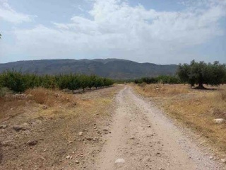 Suelo rústico en Paraje Conejos, Pol 64 - Jumilla - 6