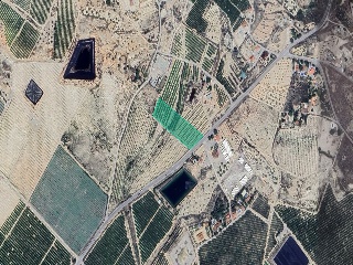 Otros en venta en Molina De Segura de 9000  m²