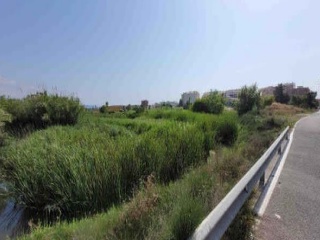 Suelo no urbanizable en PT 22-UE-R Ptda Patos - Castellón de la Plana - 6