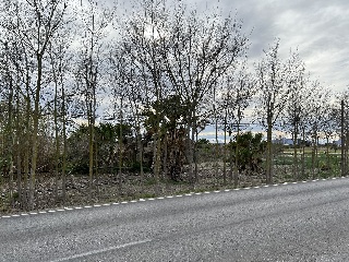 Suelo urbanizable en PT SAUT-3 - Almoradí - 6