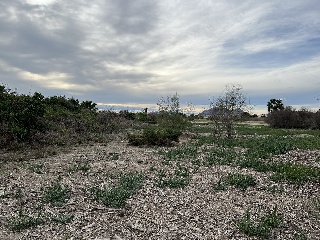 Suelo urbanizable en PT SAUT-3 - Almoradí - 7