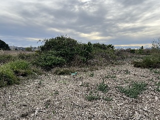 Suelo urbanizable en PT SAUT-3 - Almoradí - 8