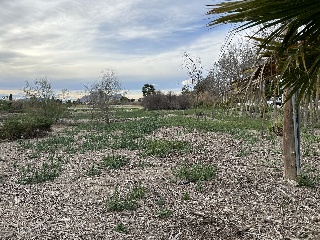 Suelo urbanizable en PT SAUT-3 - Almoradí - 9