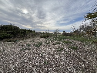 Suelo urbanizable en PT SAUT-3 - Almoradí - 10