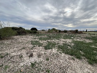 Suelo urbanizable en PT SAUT-3 - Almoradí - 14