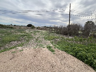 Suelo urbanizable en PT SAUT-3 - Almoradí - 17
