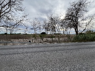 Suelo urbanizable en PT SAUT-3 - Almoradí - 21
