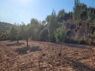 Suelo rústico en Barranco de la Murta 7
