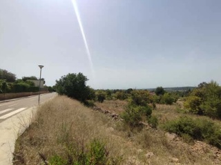 Suelo urbanizable en Sc U.E. Lloma Clotxes 1 - Olocau - Valencia 7