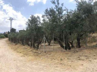 Suelo en Partida Algars 8