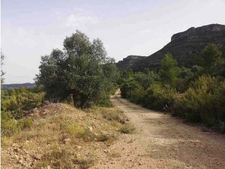 Suelo rústico en Partida Sacaras - Jalance - Valencia 9