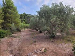 Suelo rústico en Pt La Costera de Játiva - Llanera de Ranes - 9