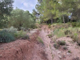 Suelo rústico en Pt La Costera de Játiva - Llanera de Ranes - 10
