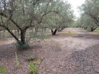Suelo rústico en Pt La Costera de Játiva - Llanera de Ranes - 12
