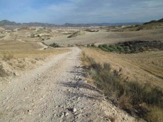 Suelo rústico en Lg Castañeda y Umbrías de La Pinosa, Pol 313 - Lorca - 6