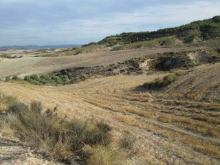 Suelo rústico en Lg Castañeda y Umbrías de La Pinosa, Pol 313 - Lorca - 7