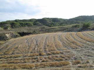 Suelo rústico en Lg Castañeda y Umbrías de La Pinosa, Pol 313 - Lorca - 9