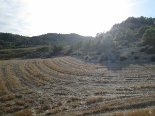 Suelo rústico en Lg Castañeda y Umbrías de La Pinosa, Pol 313 - Lorca - 10