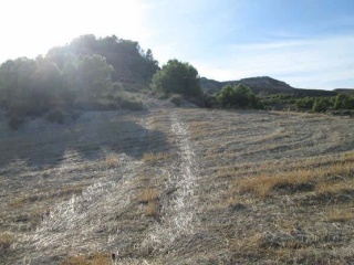 Suelo rústico en Lg Castañeda y Umbrías de La Pinosa, Pol 313 - Lorca - 13