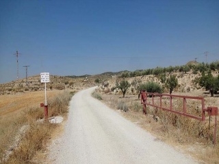 Suelo rústico en Lg Castañeda y Umbrías de La Pinosa, Pol 313 - Lorca - 14