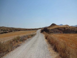 Suelo rústico en Lg Castañeda y Umbrías de La Pinosa, Pol 313 - Lorca - 15