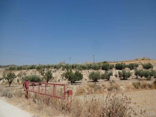 Suelo rústico en Lg Castañeda y Umbrías de La Pinosa, Pol 313 - Lorca - 17