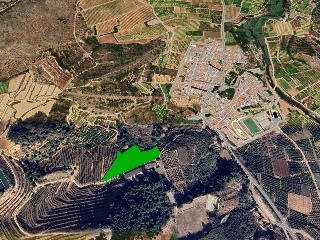 Otros en venta en Sellent de 1662  m²
