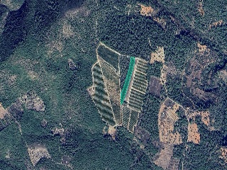 Otros en venta en Alcora de 9625  m²