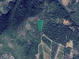Otros en venta en Alcora de 7805  m²