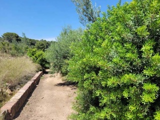 Suelo rústico en Pt Casalet, Pol 7 - Sagunto - 7