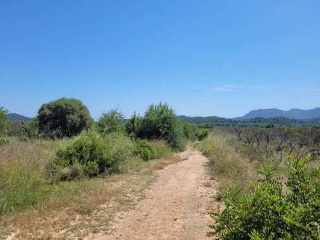 Suelo rústico en Pt Casalet, Pol 7 - Sagunto - 8