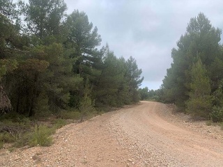Suelo rústico en Paraje Fuentecil - Utiel - 10