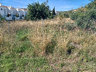 Suelo urbano no consolidado en Pt Roquetes - Pol VI -  Peñíscola - 6