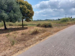 Suelo urbanizable programado en PT 26-SU-R - Castellón - 7
