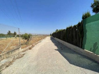 Suelo urbanizable sectorizado en El Palmar - Murcia - 7