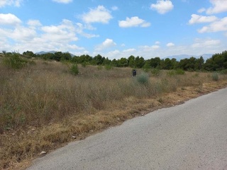 Suelo urbanizable en PT SEUS-1 La Almoloya - Pliego - 10