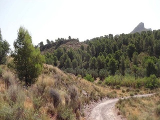 Suelo rústico en Pt Llana Diputación de la Parrilla - Lorca - 8