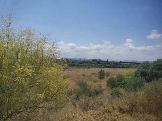 Suelo no urbanizable de protección en Vinarós - Castellón - 6