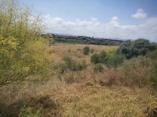 Suelo no urbanizable de protección en Vinarós - Castellón - 7