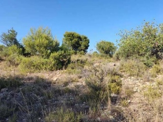 Suelo urbanizable en PT R-14 - La Pobla de Vallbona - 6
