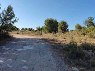 Suelo urbanizable en PT R-14 - La Pobla de Vallbona - 7