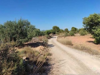 Suelo urbanizable en PT R-14 - La Pobla de Vallbona - 8