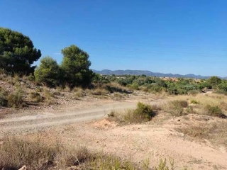 Suelo urbanizable en PT R-14 - La Pobla de Vallbona - 9