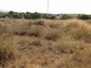 Suelo urbanizable en PT R-14 - La Pobla de Vallbona - 11